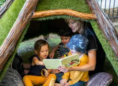 Image for Sparrow Education